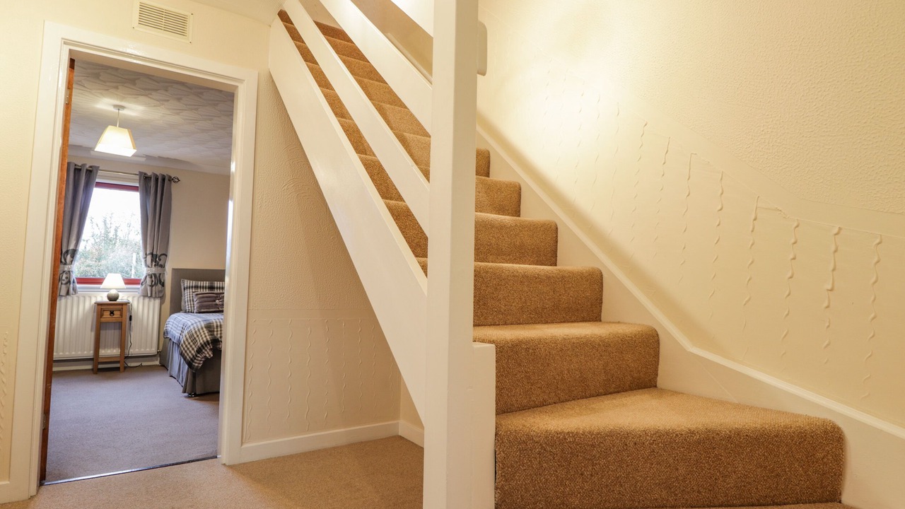 Photo of Others in Nostie