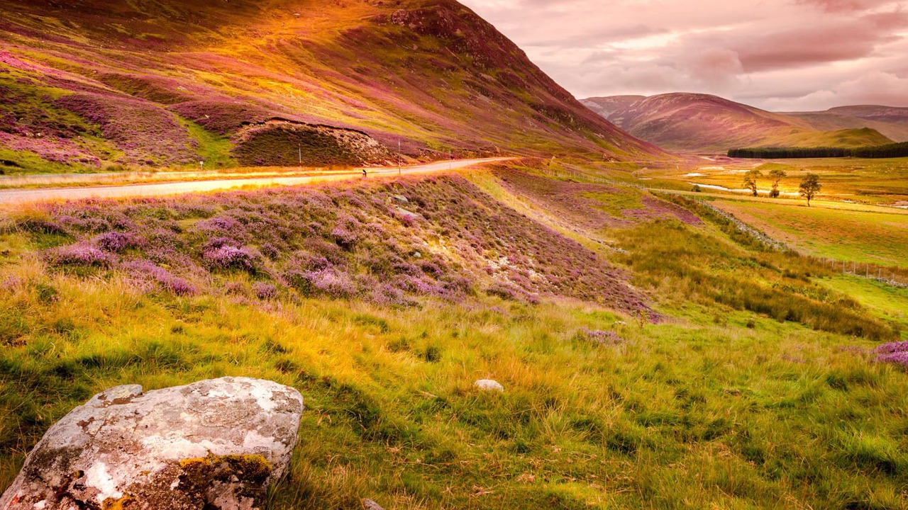 Photo of Others in Nostie