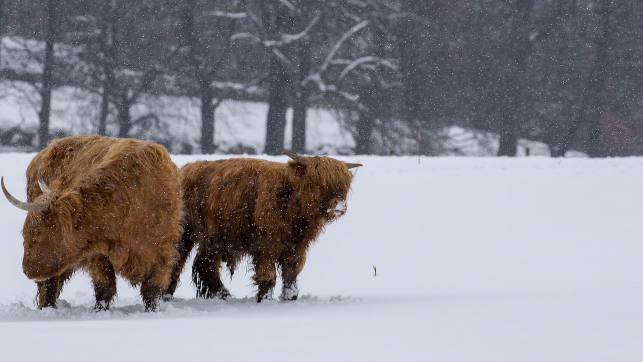 Photo of Outdoor in Nostie