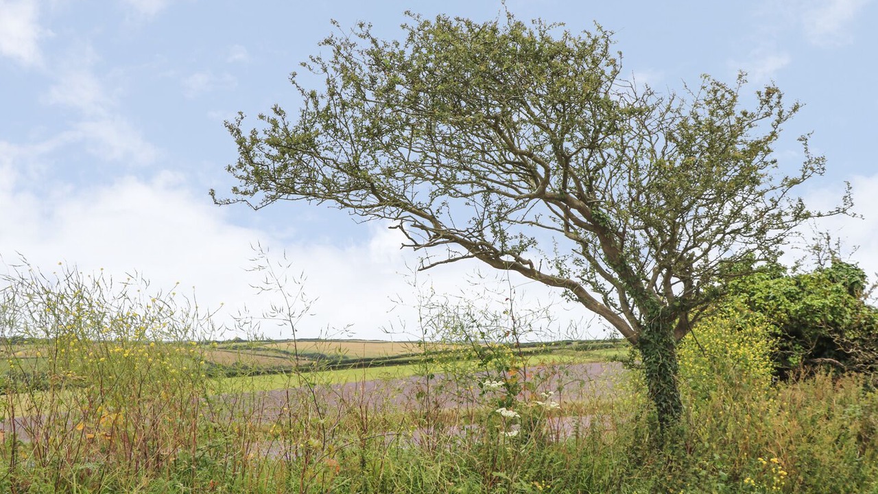 Photo of Others in Goonhavern