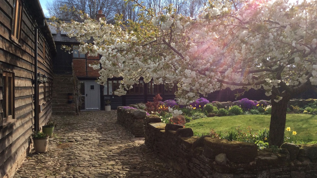 Photo of Others in Westbrook Court