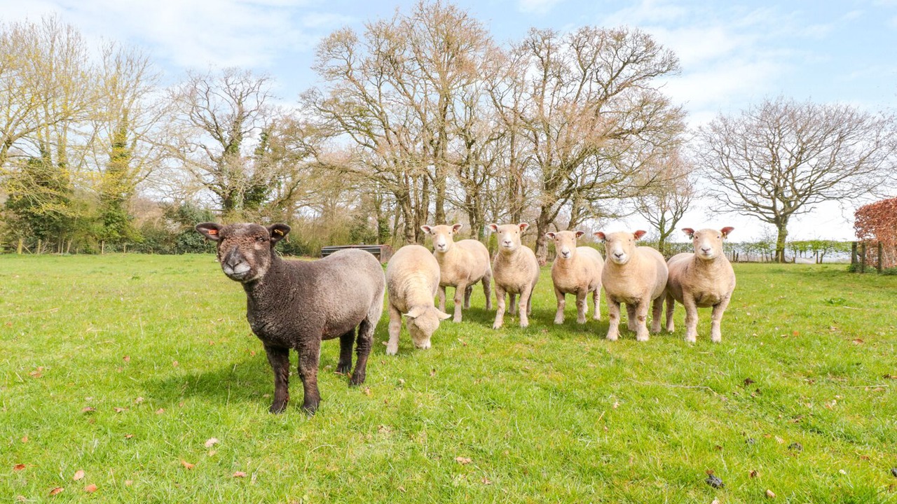 Photo of Others in Westbrook Court