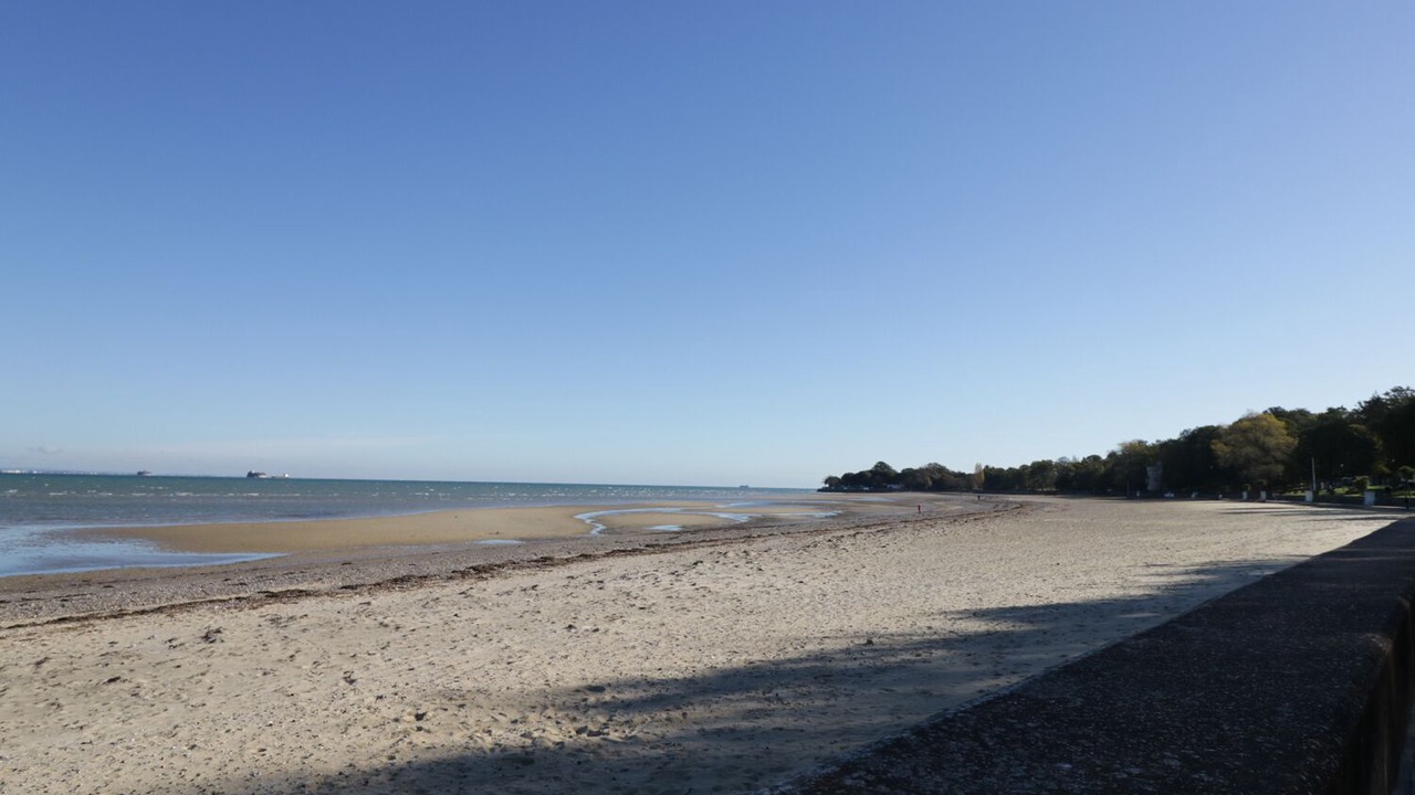 Photo of Others in Ryde