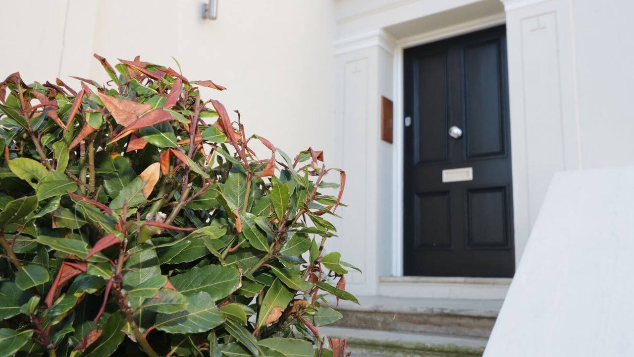 Photo of Others in Ryde