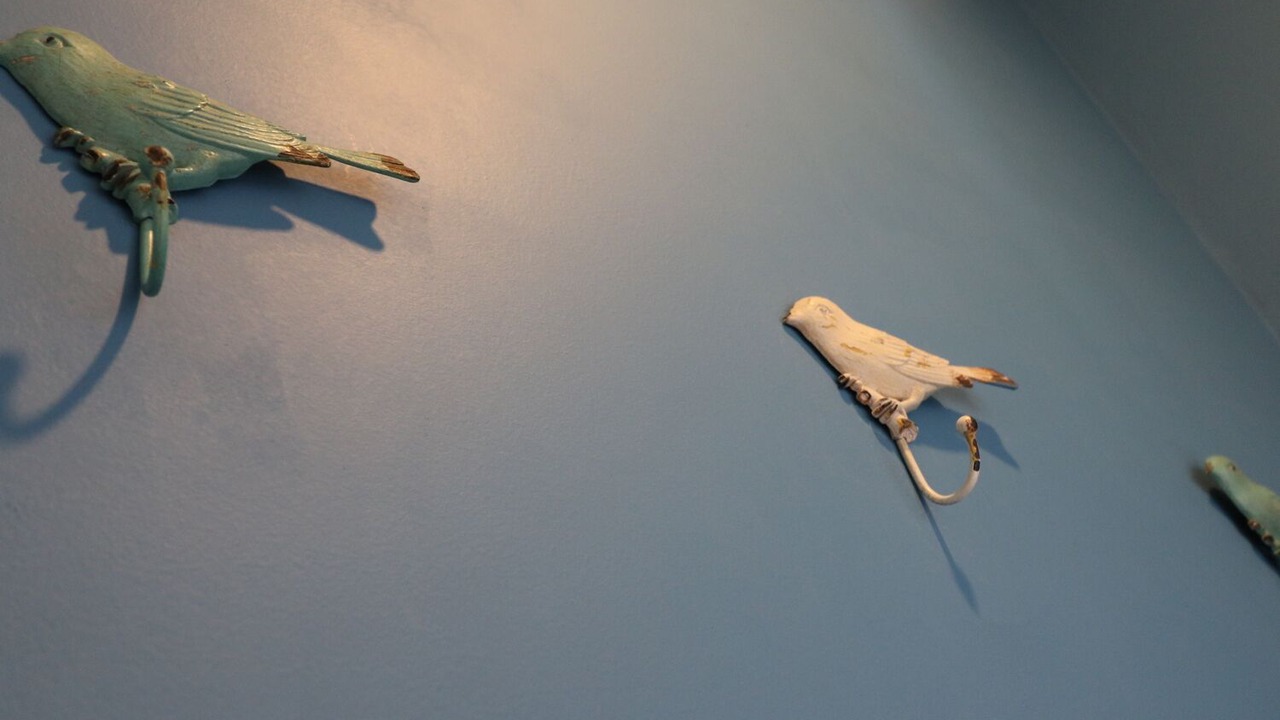 Photo of Others in Ryde