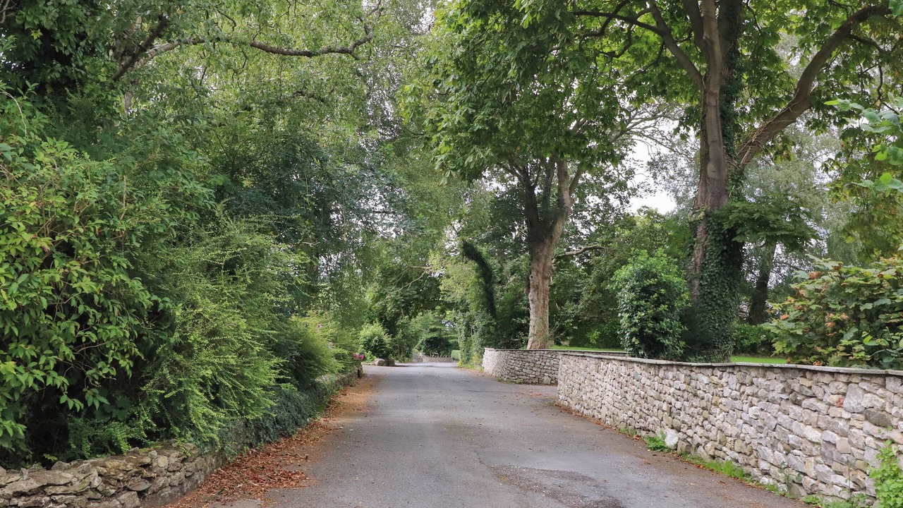 Photo of Others in Burton