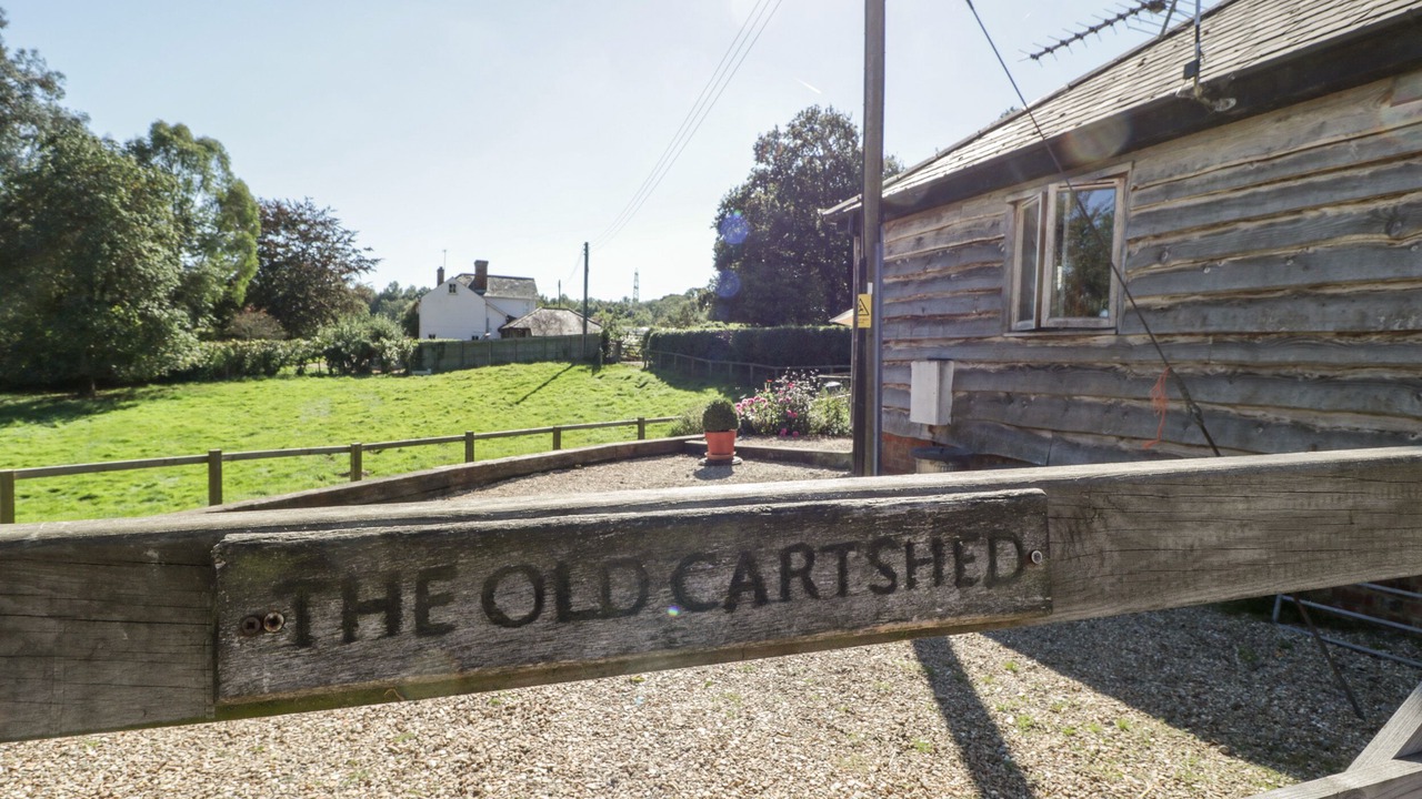 Photo of Others in New Forest District