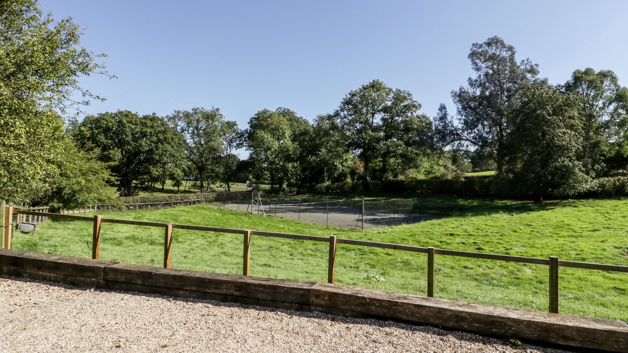 Photo of Others in New Forest District