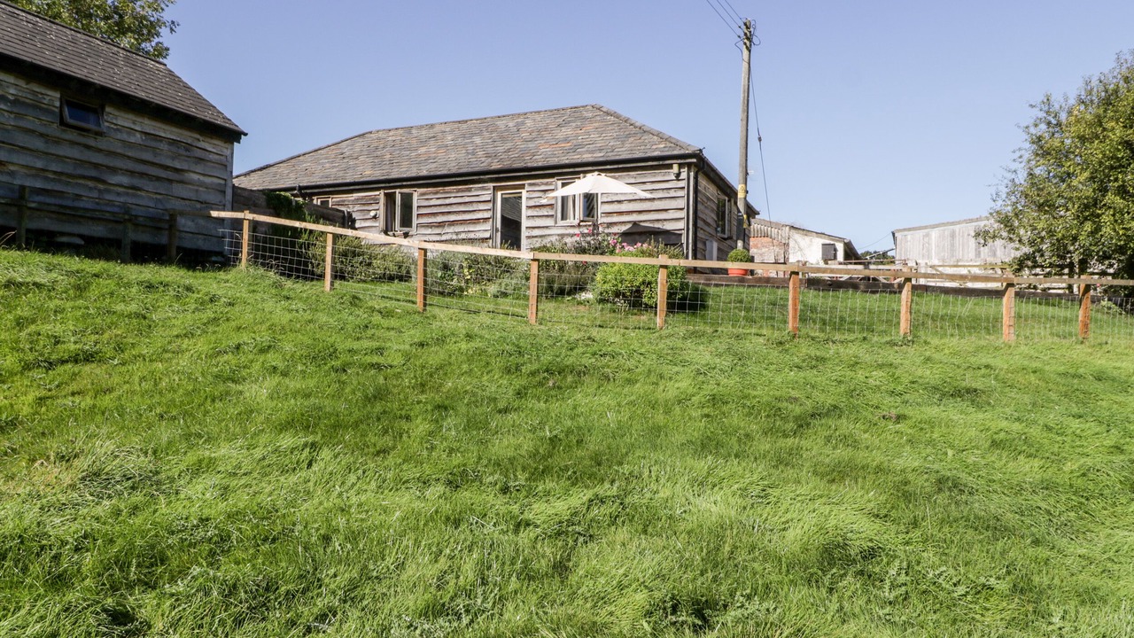 Photo of Others in New Forest District