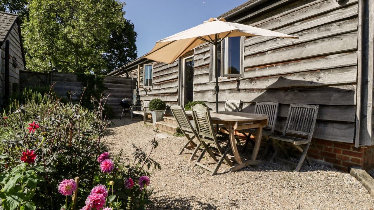 Photo of Others in New Forest District