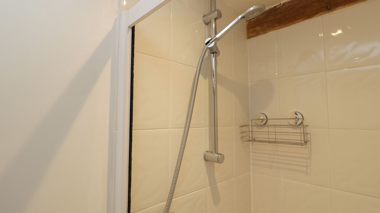 Photo of Others in New Forest District