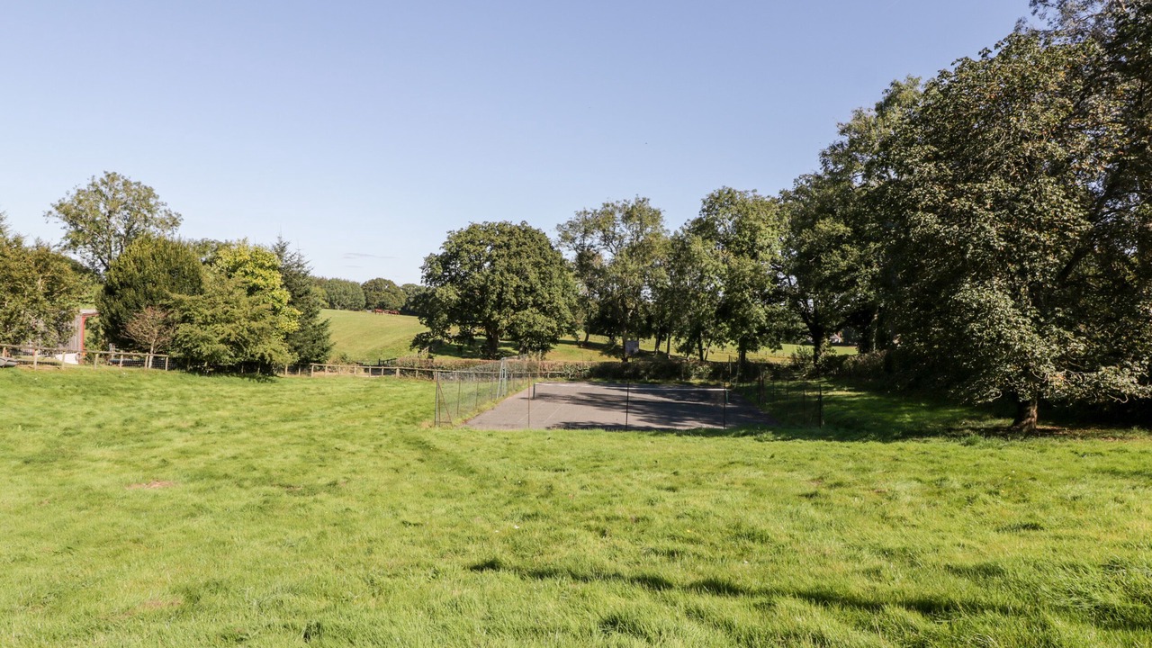 Photo of Others in New Forest District