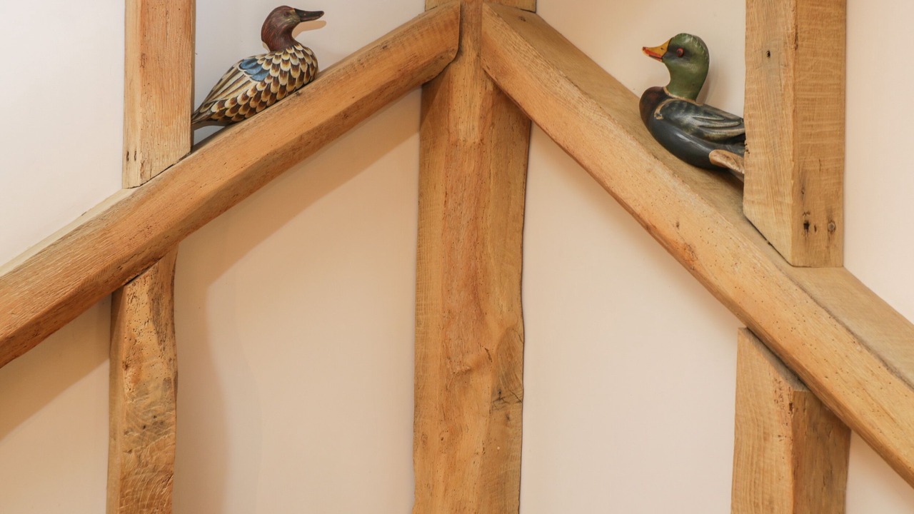 Photo of Others in New Forest District