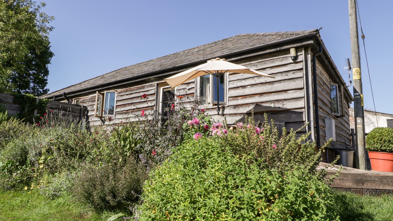 Photo of Others in New Forest District