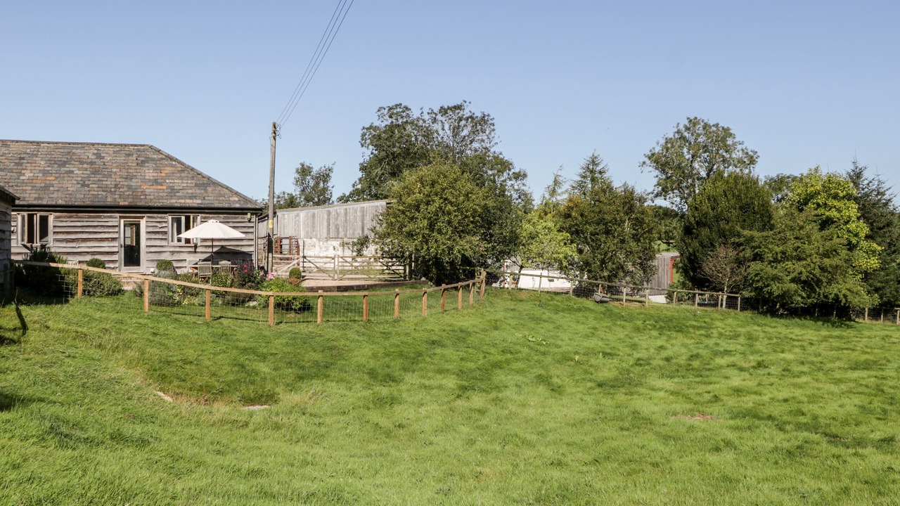 Photo of Others in New Forest District