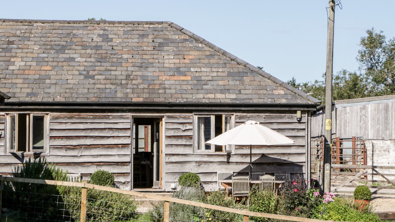 Photo of Others in New Forest District