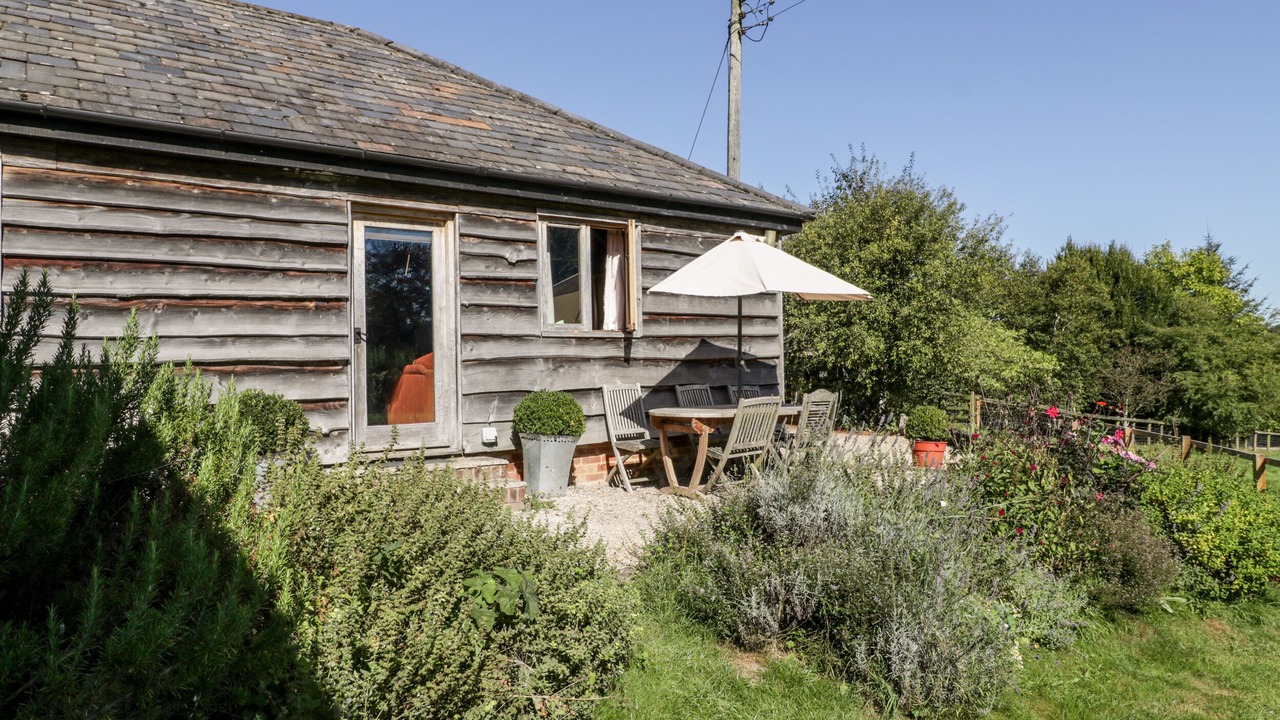 Photo of Outdoor in New Forest District