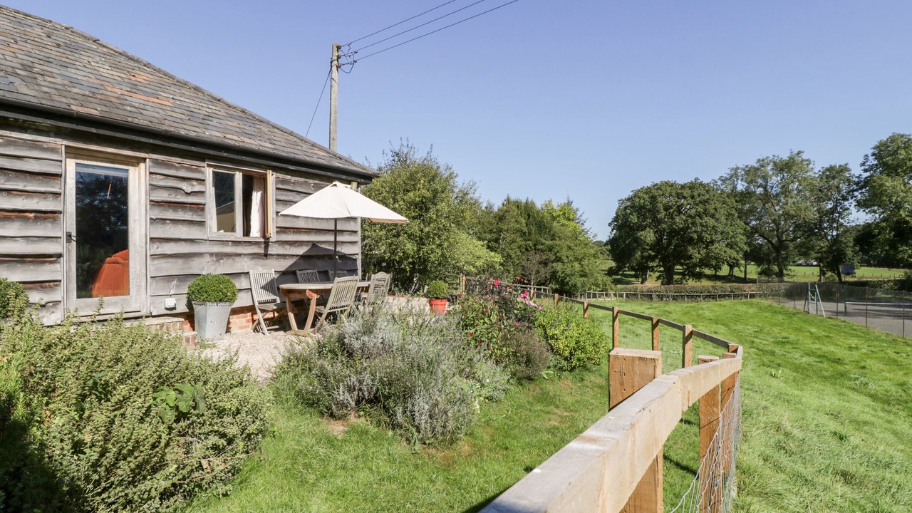 Photo of Others in New Forest District