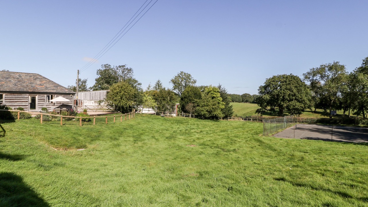 Photo of Others in New Forest District