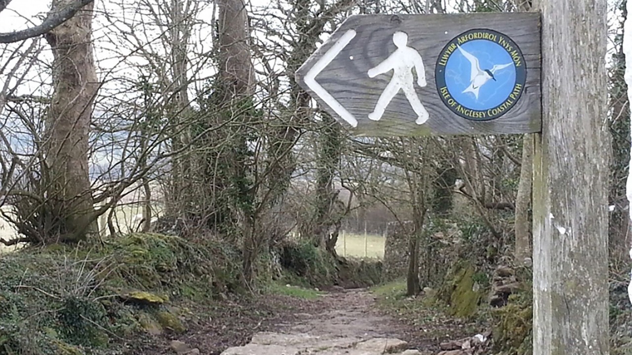 Photo of Others in Dulas