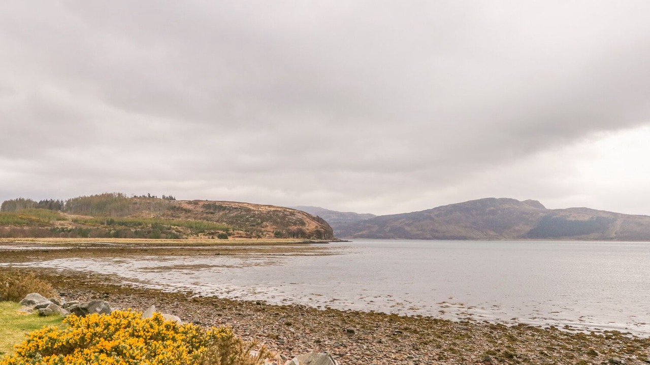 Photo of Others in Nostie