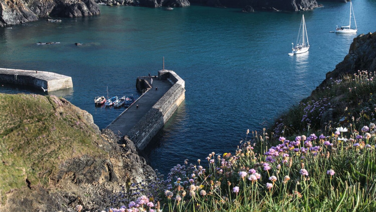 Photo of Others in Mullion