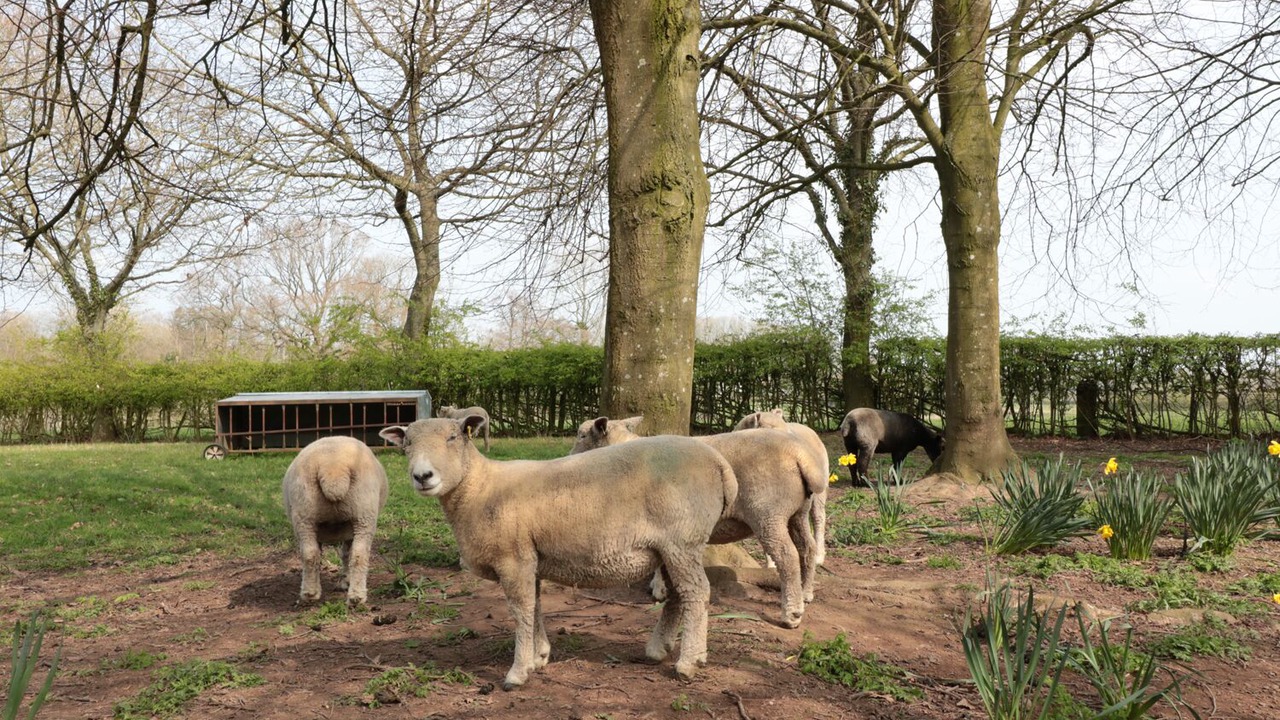 Photo of Others in Westbrook Court