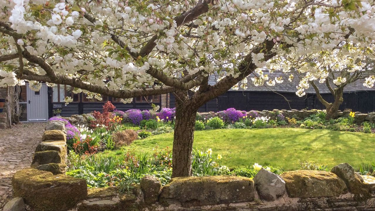 Photo of Others in Westbrook Court