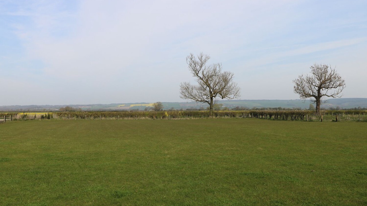 Photo of Others in Pickering