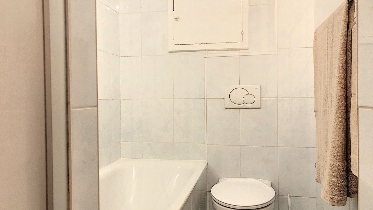 Photo of Bathroom in Sion