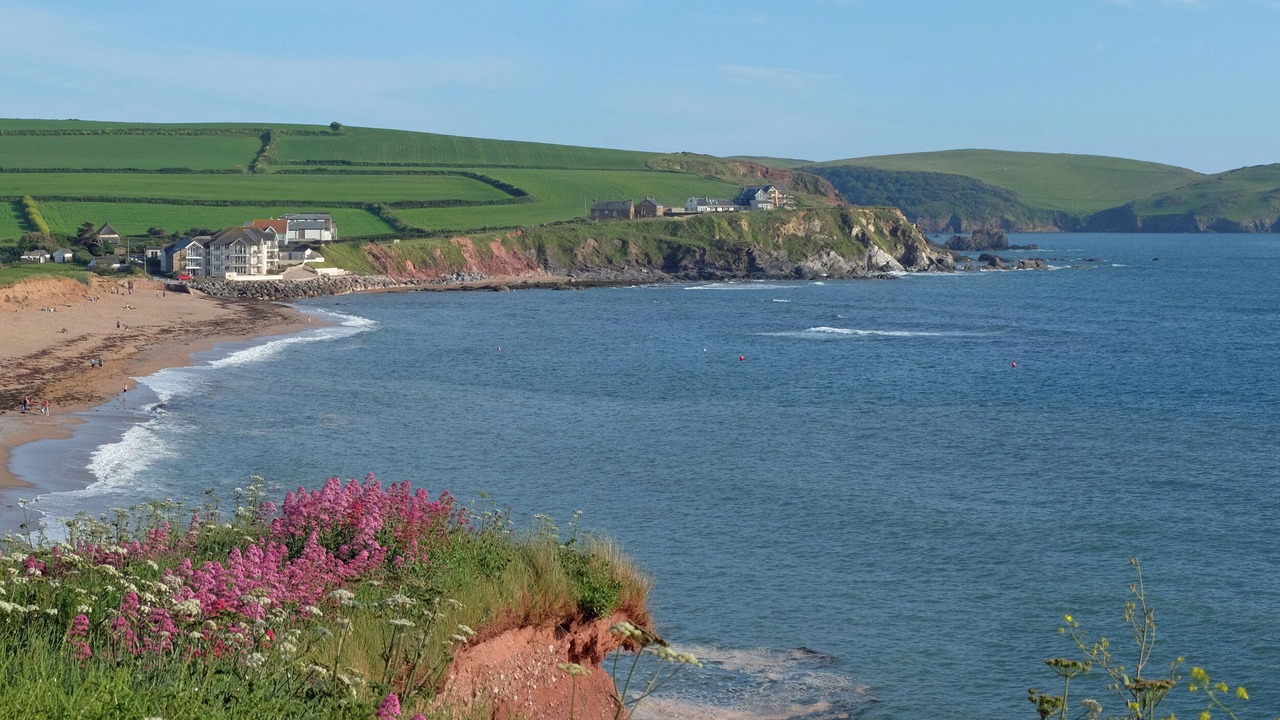 Photo of Others in Thurlestone