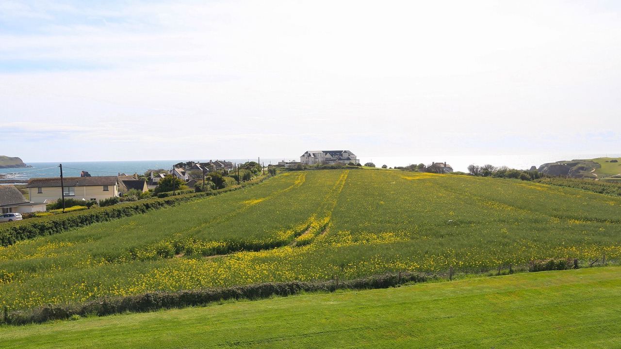 Photo of Others in Thurlestone