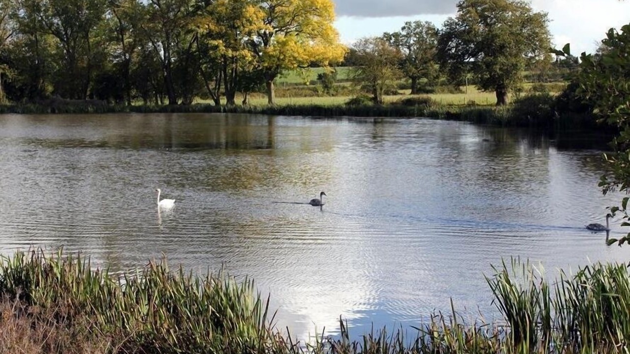 Photo of Others in Flaxley