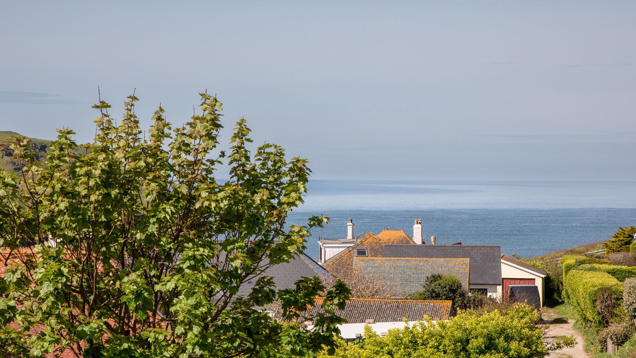 Photo of Others in Hope-Cove