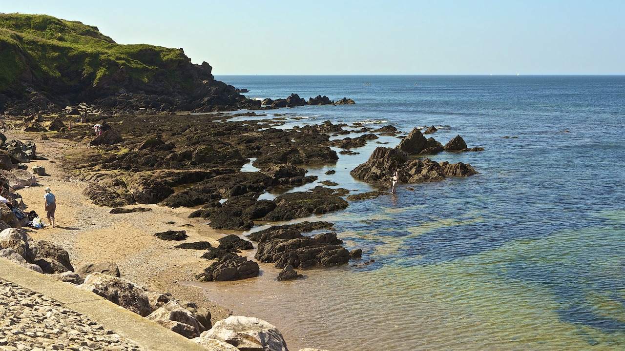 Photo of Others in Burgh Island