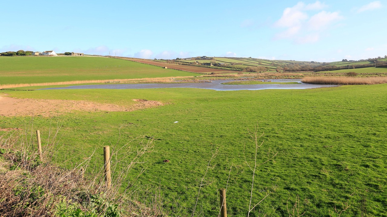 Photo of Others in Burgh Island