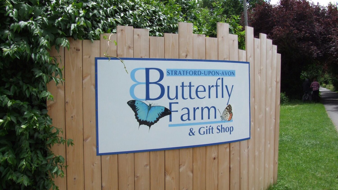 Photo of Others in City Centre