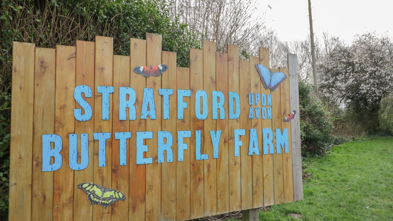 Photo of Others in City Centre