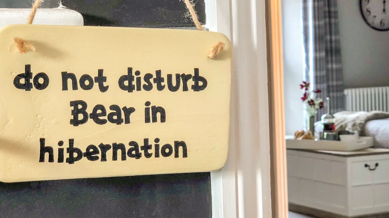 Photo of Others in Launceston