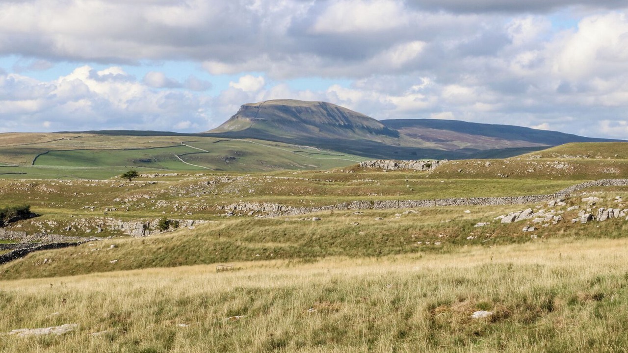 Photo of Others in Settle