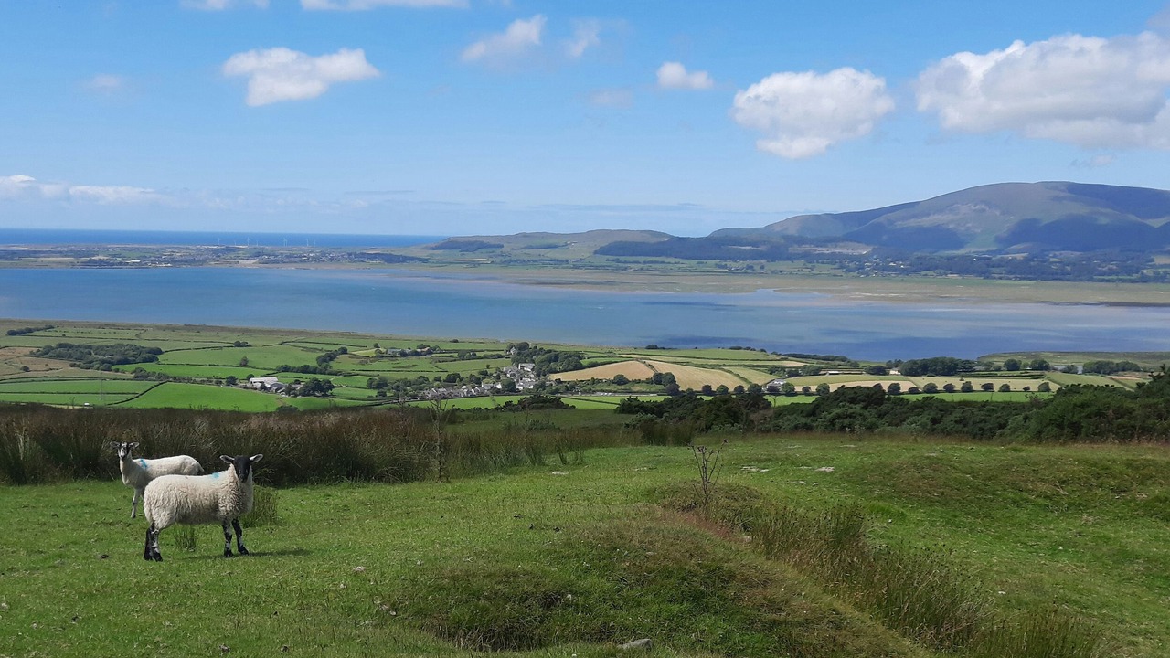 Photo of Others in Soutergate