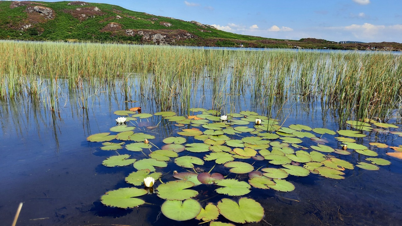 Photo of Others in Soutergate