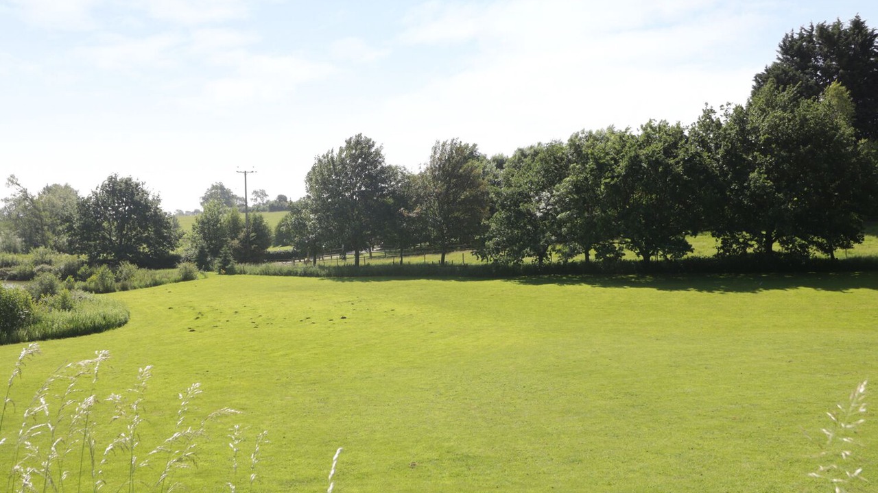 Photo of Others in Corton