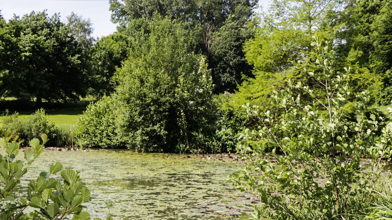 Photo of Others in Corton