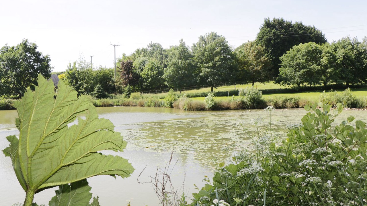 Photo of Others in Corton