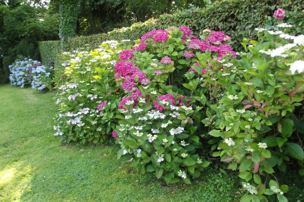 Photo of Outdoor in Pierrefiques