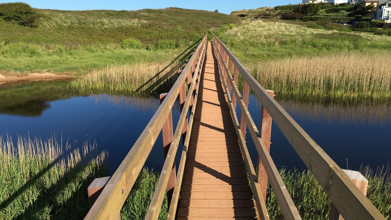 Photo of Others in Thurlestone