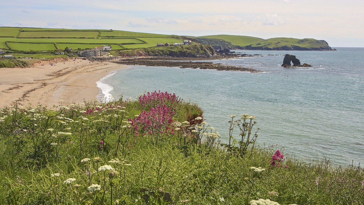 Photo of Others in Thurlestone