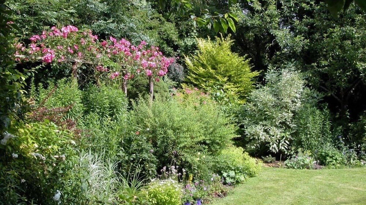 Photo of Others in Chilmark