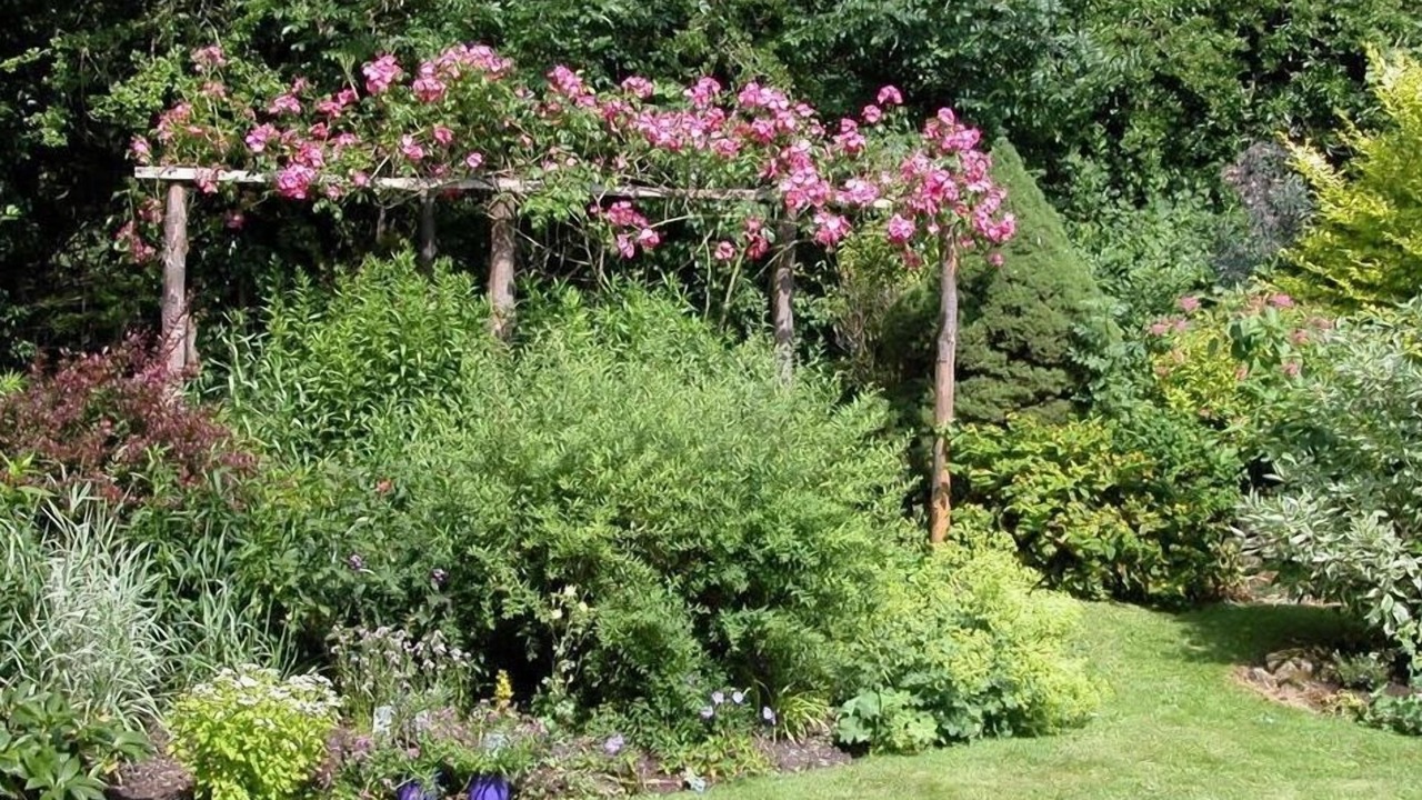 Photo of Others in Chilmark